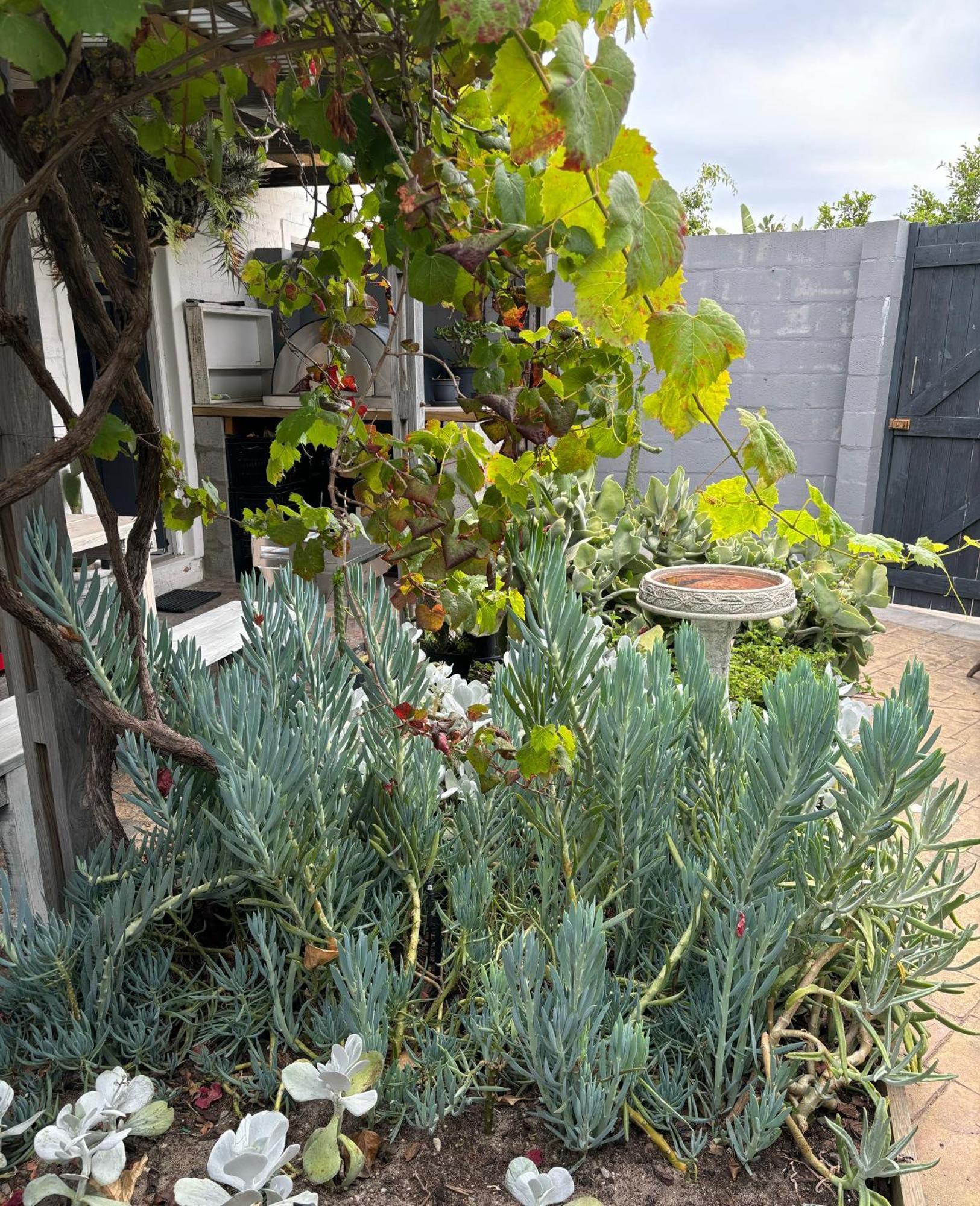 Apartment West Life Cape Town
